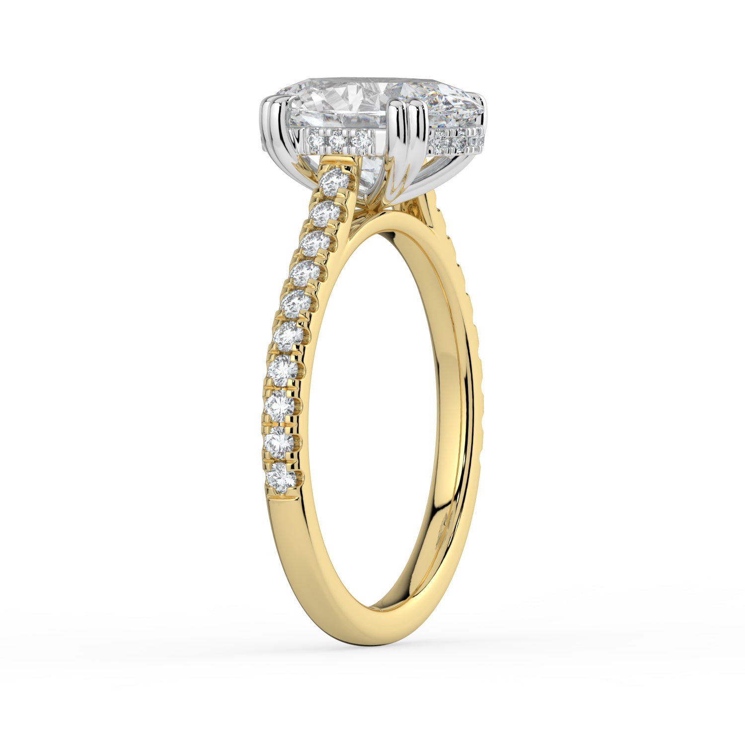 The Cara Ring - Oval Cathedral with Hidden Halo & Pavé Band
