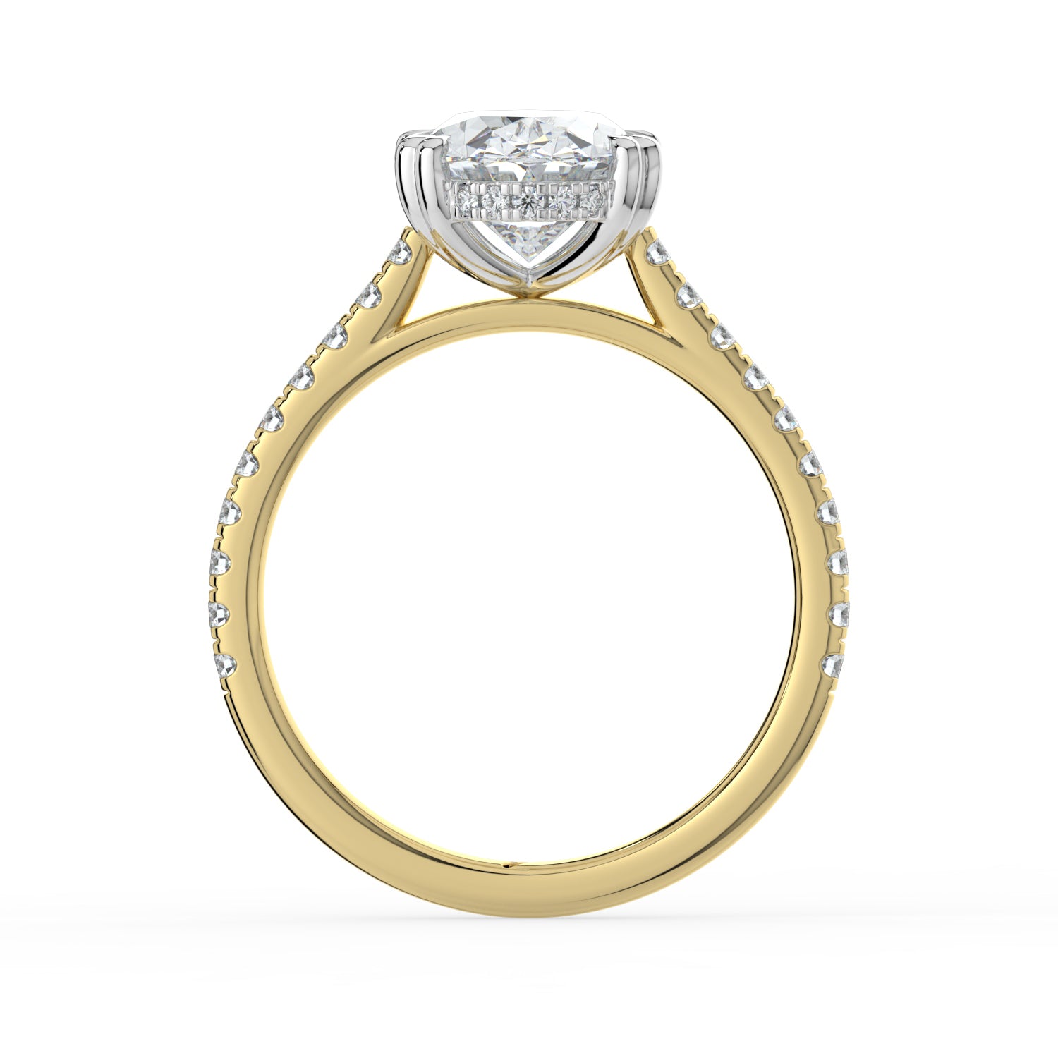 The Cara Ring - Oval Cathedral with Hidden Halo & Pavé Band