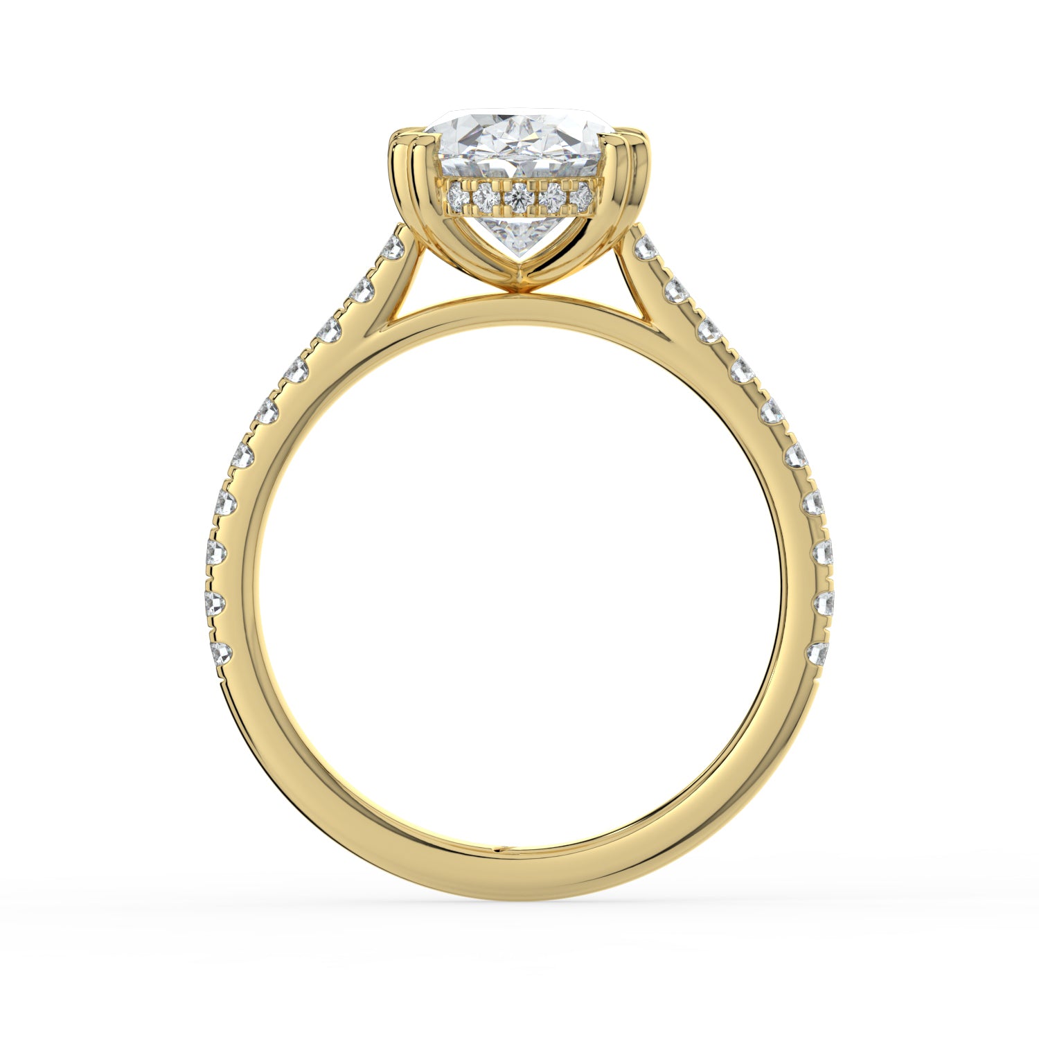 The Cara Ring - Oval Cathedral with Hidden Halo & Pavé Band