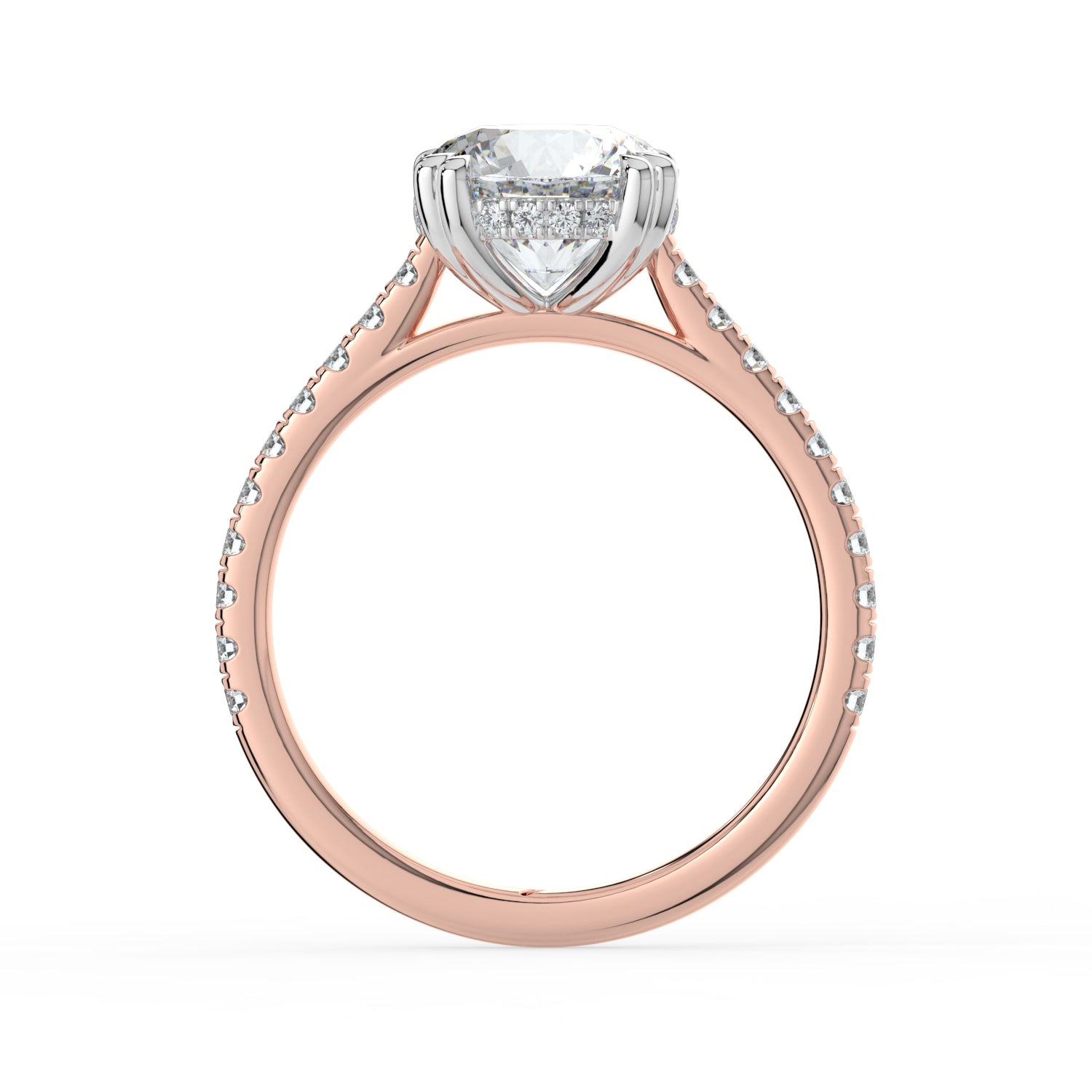 The Cara Ring - Round Cathedral with Hidden Halo & Pavé Band