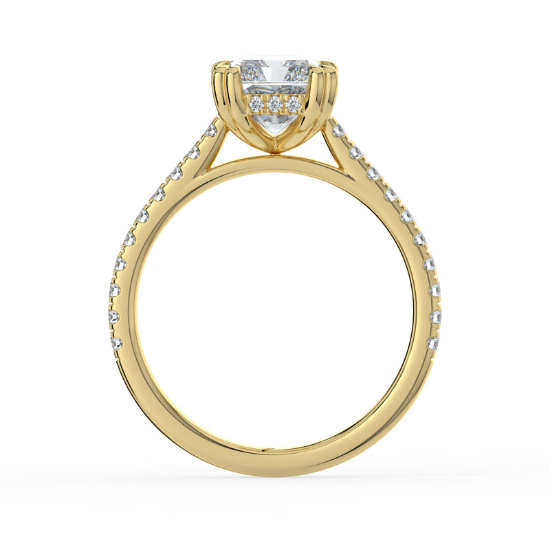 The Cara Ring - Radiant Cathedral with Hidden Halo & Pavé Band