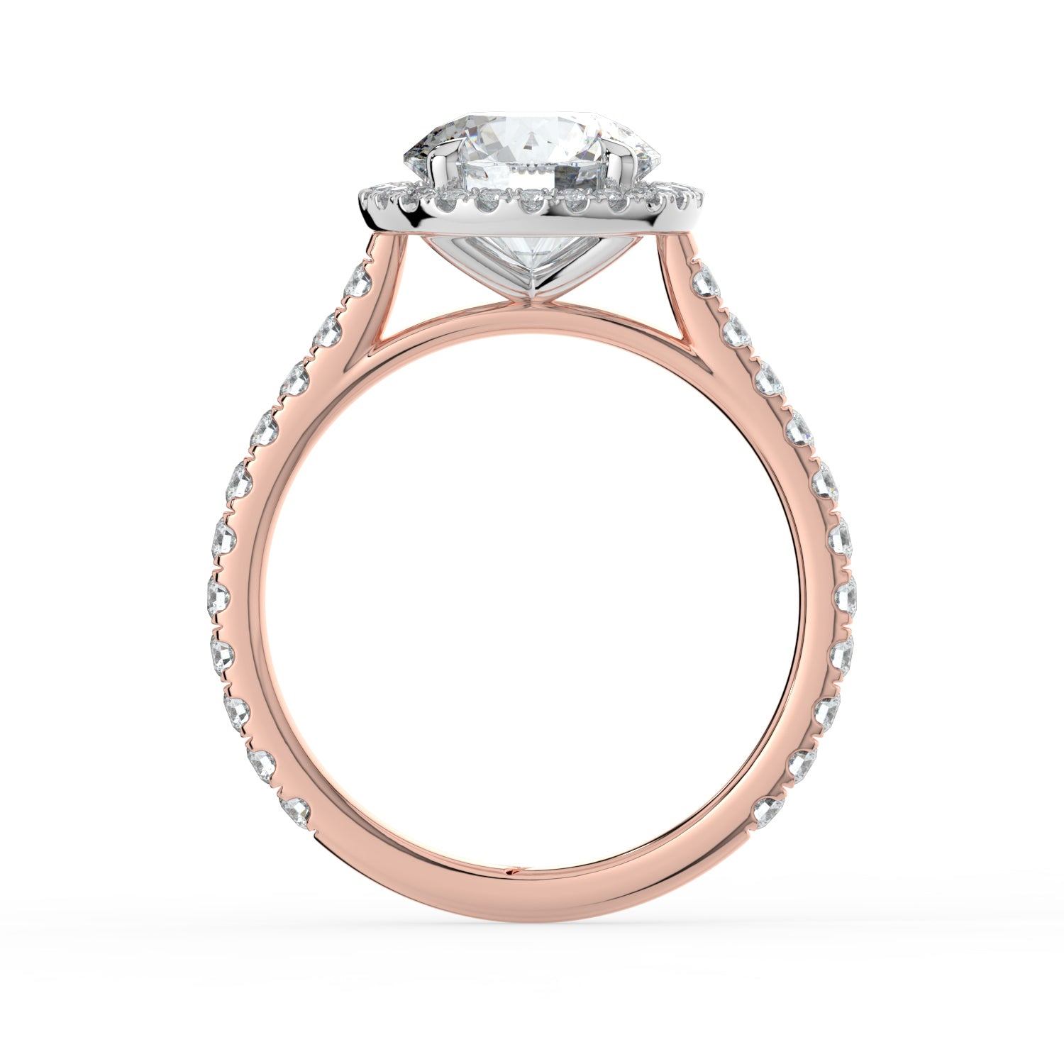 The Orion Ring - Round Cathedral Halo with Pavé Band