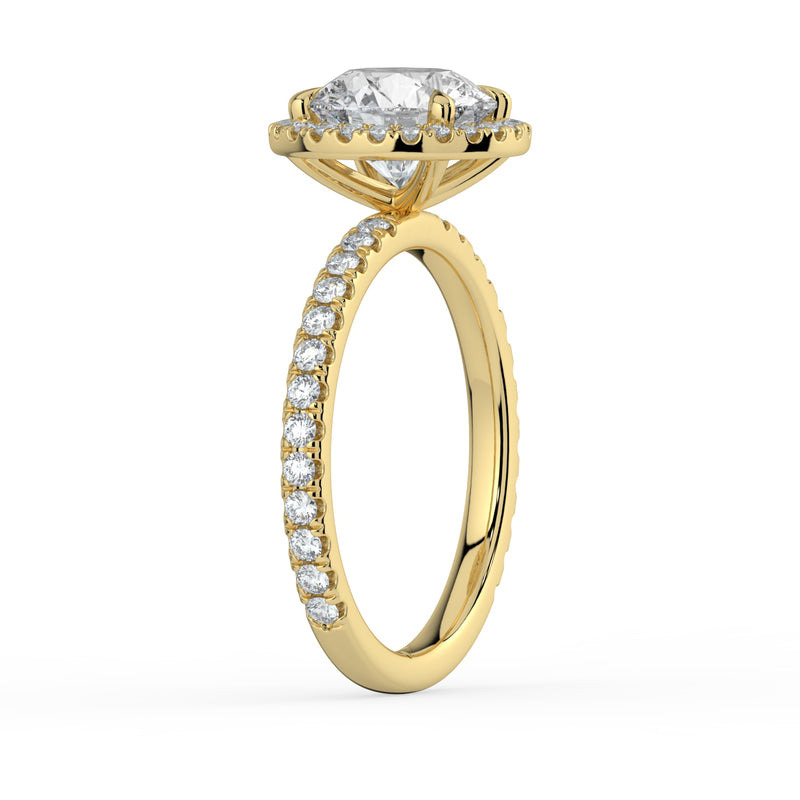The Orion Ring - Round Halo with Pavé Band