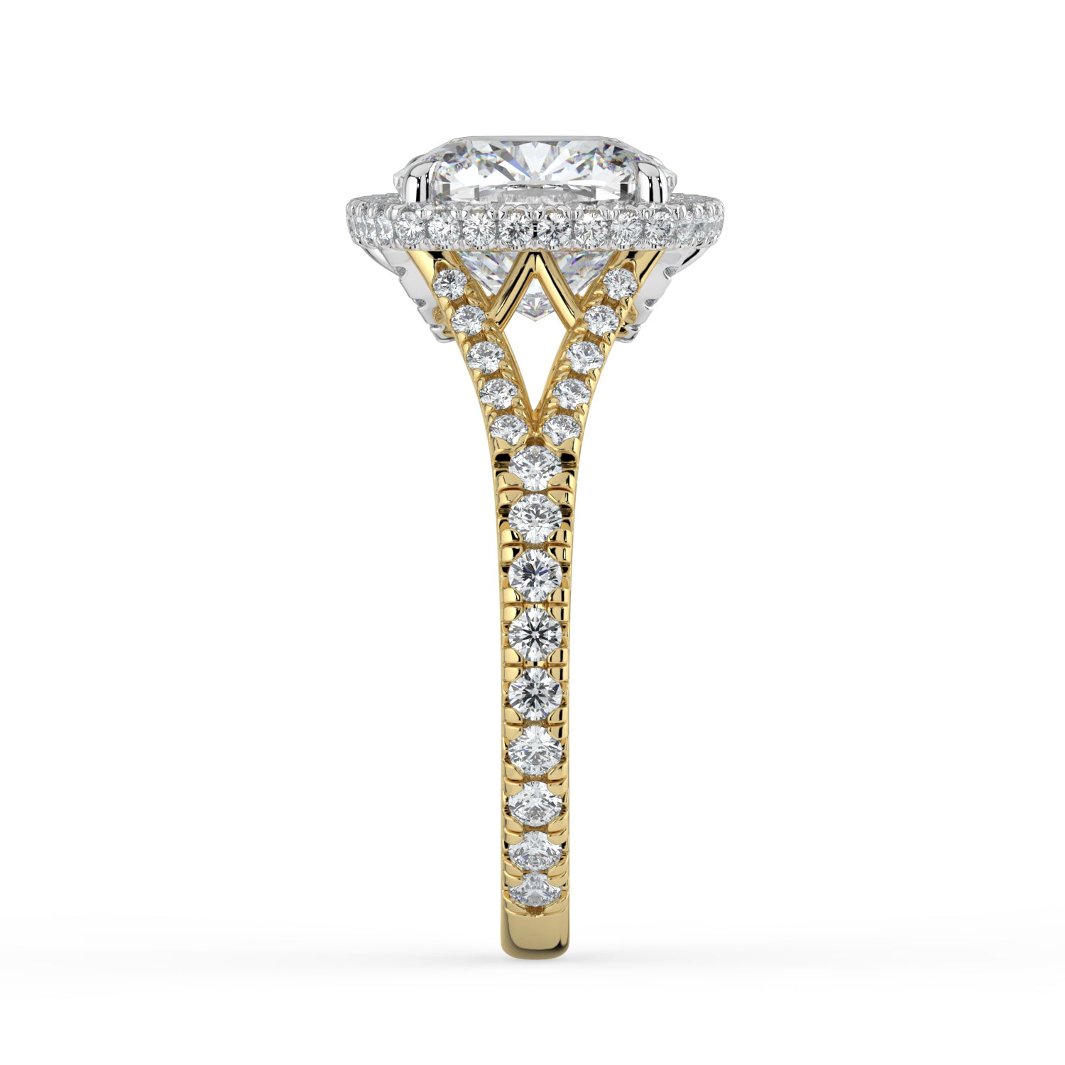 The Elara Ring - Cushion Orbital Halo with Split Pavé Band