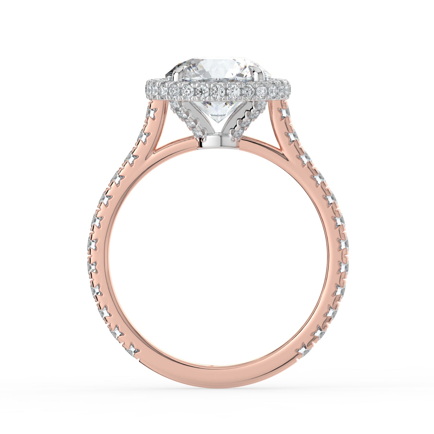 The Gemma Ring - Round Orbital Halo Cathedral with Pavé Band