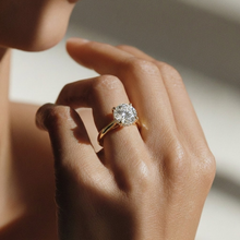 The Aquila Ring – Round Cathedral with Hidden Halo & Pavé Bridge in 14K White Gold – The Jewel Concierge