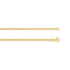 Gold chain necklace on a white background