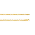 The Bold Belcher Chain