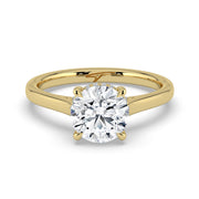 The Aquila Ring – Round Cathedral with Hidden Halo & Pavé Bridge in 14K Yellow Gold – The Jewel Concierge
