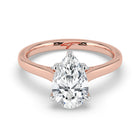 The Aquila Ring - Pear Cathedral with Hidden Halo & Pavé Bridge