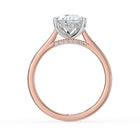 The Aquila Ring - Pear Cathedral with Hidden Halo & Pavé Bridge