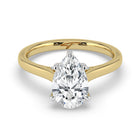 The Aquila Ring - Pear Cathedral with Hidden Halo & Pavé Bridge