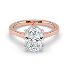 The Aquila Ring - Oval Cathedral with Hidden Halo & Pavé Bridge