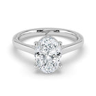 The Aquila Ring - Oval Cathedral with Hidden Halo & Pavé Bridge