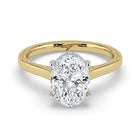 The Aquila Ring - Oval Cathedral with Hidden Halo & Pavé Bridge