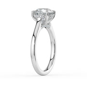 The Aquila Ring – Round Cathedral with Hidden Halo & Pavé Bridge in 18K White Gold – The Jewel Concierge