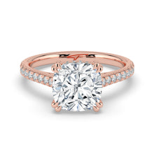 The Cara Ring - Cushion Cathedral with Hidden Halo & Pavé Band