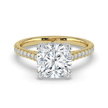 The Cara Ring - Cushion Cathedral with Hidden Halo & Pavé Band