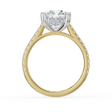 The Cara Ring - Cushion Cathedral with Hidden Halo & Pavé Band