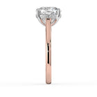 The Aquila Ring – Cushion Cathedral with Hidden Halo & Pavé Bridge in Platinum – The Jewel Concierge