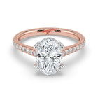 The Cara Ring - Oval Cathedral with Hidden Halo & Pavé Band