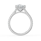The Cara Ring - Oval Cathedral with Hidden Halo & Pavé Band