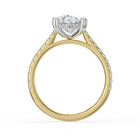 The Cara Ring - Oval Cathedral with Hidden Halo & Pavé Band
