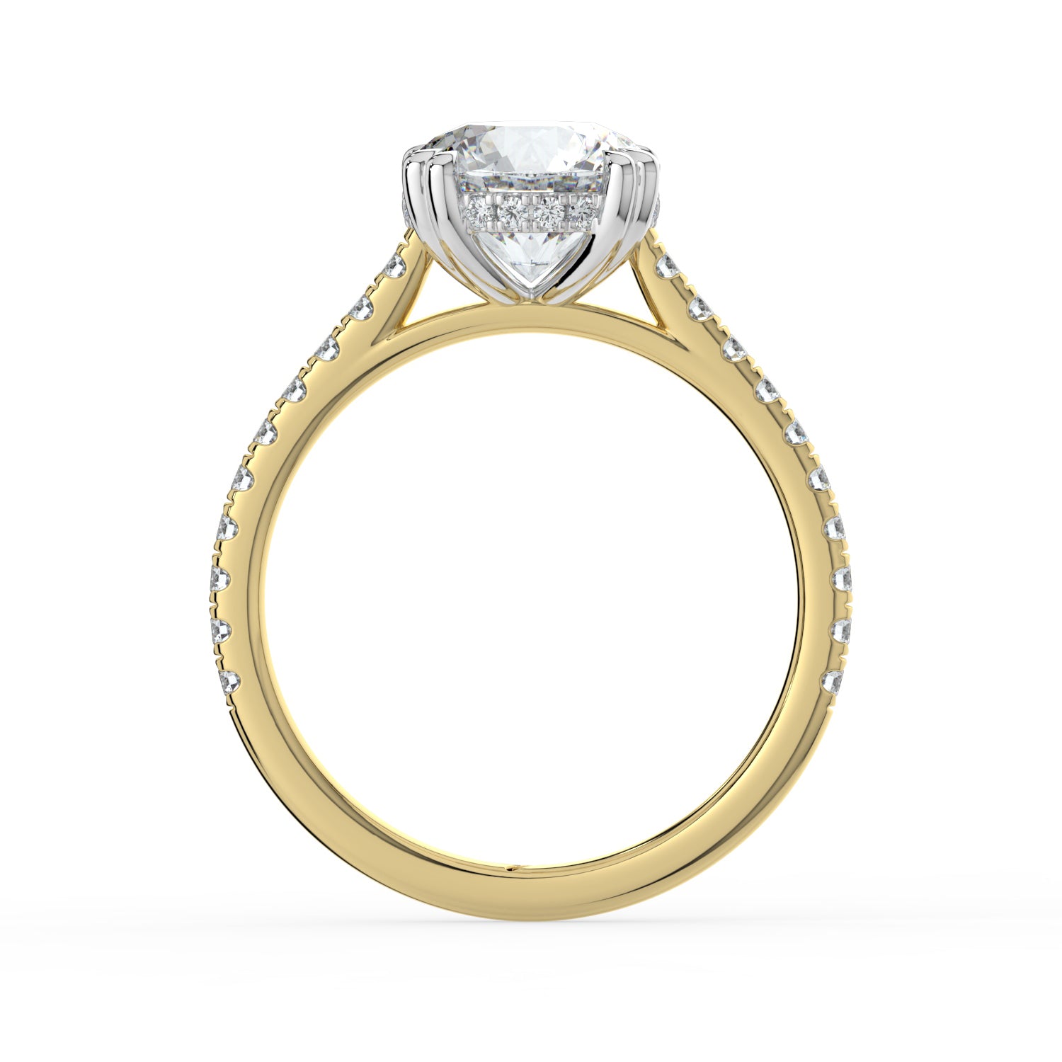 The Cara Ring - Round Cathedral with Hidden Halo & Pavé Band