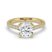 The Cara Ring – Round Cathedral with Hidden Halo & Pavé Band in 14K Yellow Gold – The Jewel Concierge