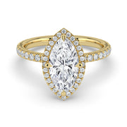 The Orion Ring – Marquise Halo with Pavé Band in 14K Yellow Gold – The Jewel Concierge