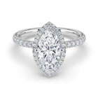 The Orion Ring - Marquise Halo with Pavé Band