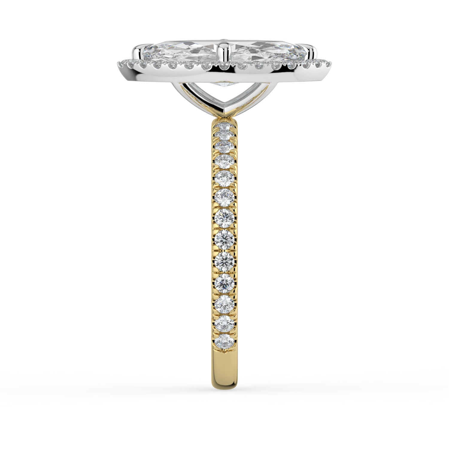The Orion Ring - Marquise Halo with Pavé Band