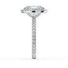 The Orion Ring - Oval Halo with Pavé Band