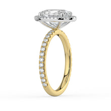 The Orion Ring - Oval Halo with Pavé Band