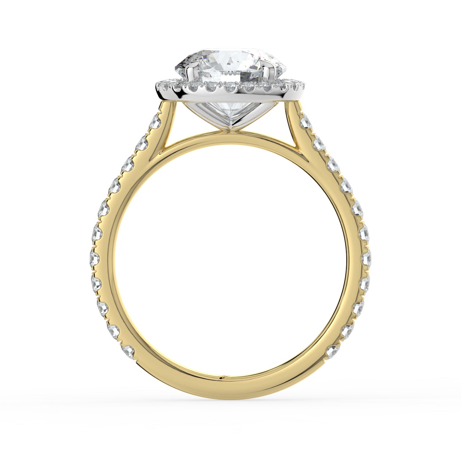 The Orion Ring - Round Cathedral Halo with Pavé Band