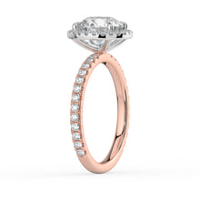 The Orion Ring - Round Halo with Pavé Band