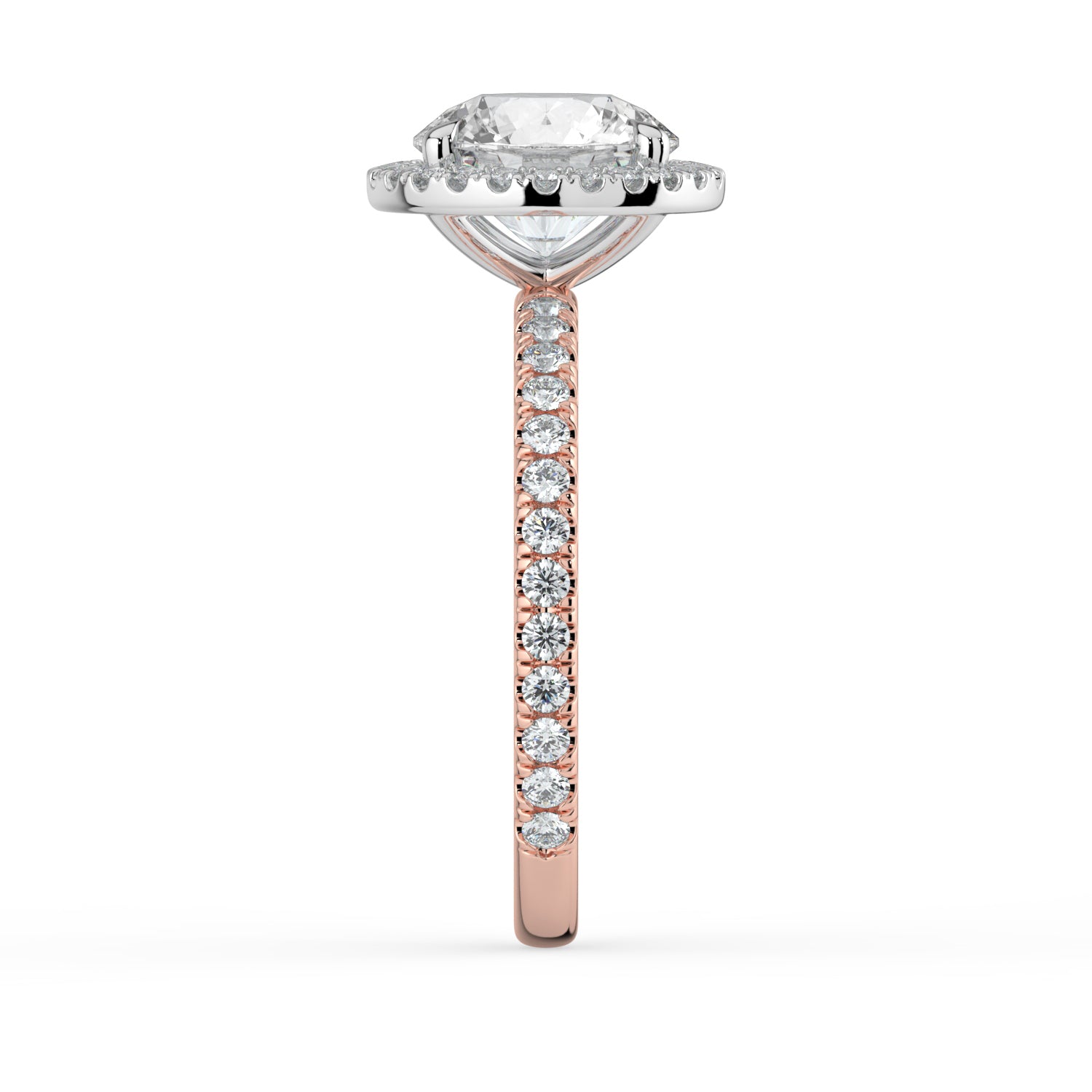 The Orion Ring - Round Halo with Pavé Band