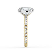 The Astra Ring – Oval Solitaire with Pavé Band in Platinum – The Jewel Concierge