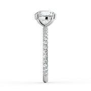 The Astra Ring – 4 Claw Round Solitaire with Pavé Band in 18K White Gold – The Jewel Concierge