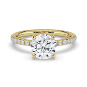The Astra Ring – 4 Claw Round Solitaire with Pavé Band in 14K Yellow Gold – The Jewel Concierge