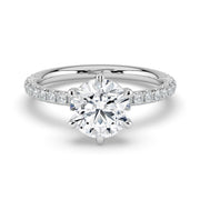 The Astra Ring – 6 Claw Round Solitaire with Pavé Band in Platinum – The Jewel Concierge