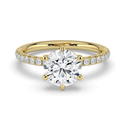 The Astra Ring – 6 Claw Round Solitaire with Pavé Band in 14K Yellow Gold – The Jewel Concierge