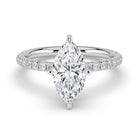 The Astra Ring - Marquise Solitaire with Pavé Band