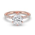 The Phoenix Ring - 6 Claw Round Solitaire with Hidden Halo & Pavé Band