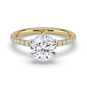 The Phoenix Ring — 6 Claw Round Solitaire with Hidden Halo & Pavé Band Lab-Grown Diamond Engagement Ring in Two-Tone Yellow and White Gold | The Jewel Concierge