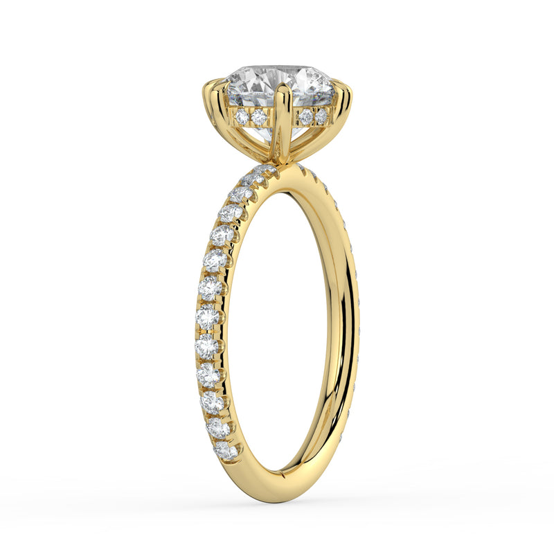 The Phoenix Ring – 6 Claw Round Solitaire with Hidden Halo & Pavé Band in 14K White Gold – The Jewel Concierge