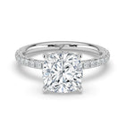 The Phoenix Ring - Cushion Solitaire with Hidden Halo & Pavé Band