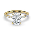 The Phoenix Ring - Oval Solitaire with Hidden Halo & Pavé Band