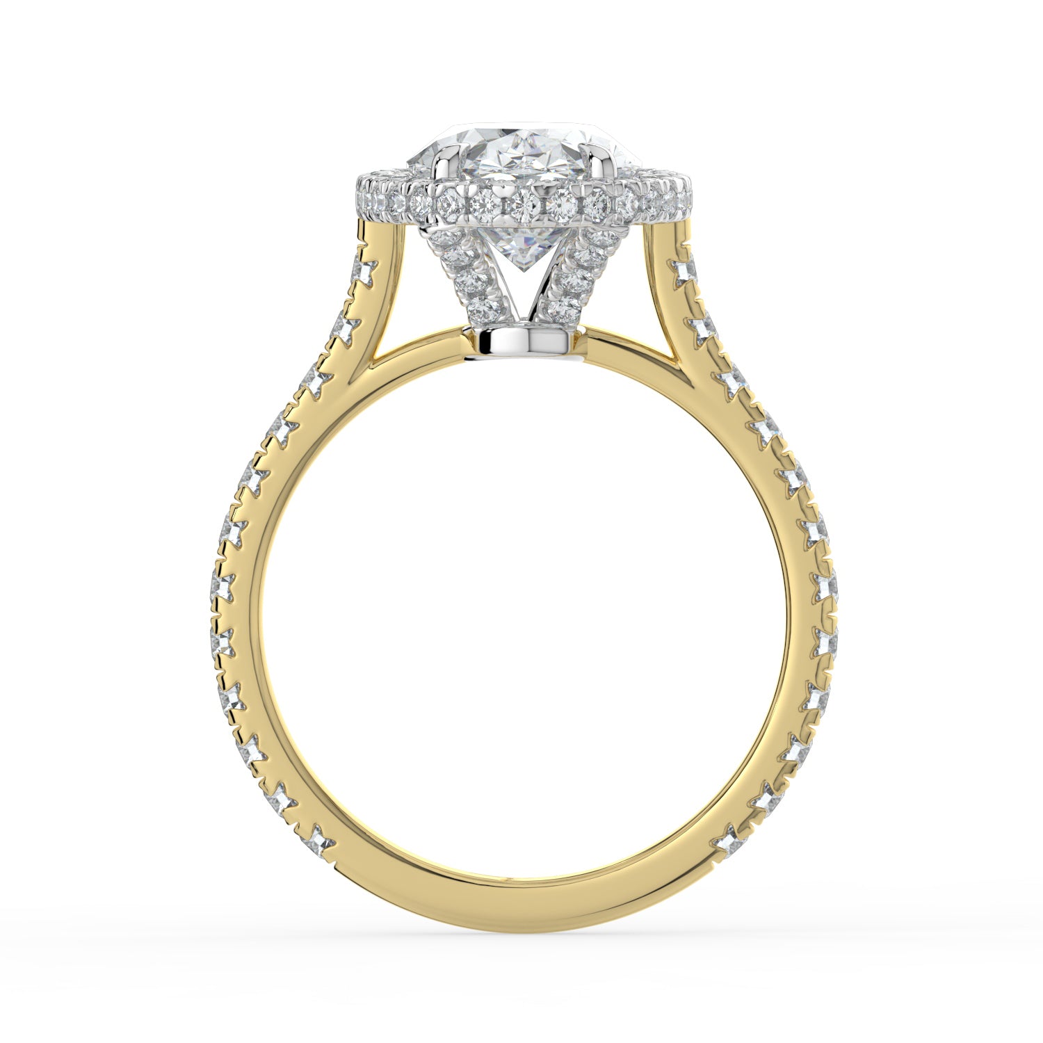 The Gemma Ring - Oval Orbital Halo Cathedral with Pavé Band