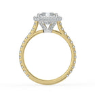 The Gemma Ring - Radiant Orbital Halo Cathedral with Pavé Band